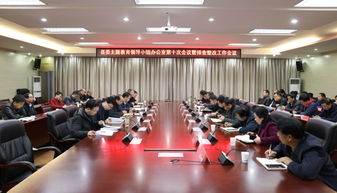 强化责任 查漏补缺,丹凤县委扎实安排主题教育排查整改工作