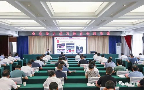 丹凤县举行全县党史学习教育专题党课