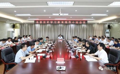 丹凤县委召开党史学习教育领导小组会议